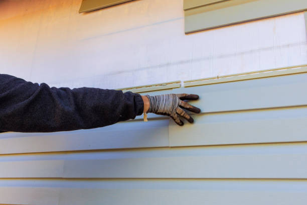 Best Siding for New Construction  in Thompson, ND